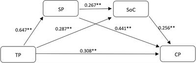 Teaching presence predicts cognitive presence in blended learning during COVID-19: The chain mediating role of social presence and sense of community